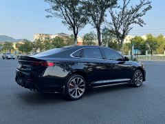 Geely Xingui 2.0T Edition - фото 14