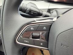 Geely Xingui 1.5T Edition - ფოტო 14