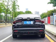 GAC Chuanqi Shadow Leopard Shadow Leopard R 400T Automatic MAX Version - photo 4