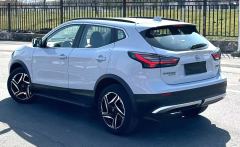 Nissan Qashqai Edition 2.0L XV Edition - photo 6