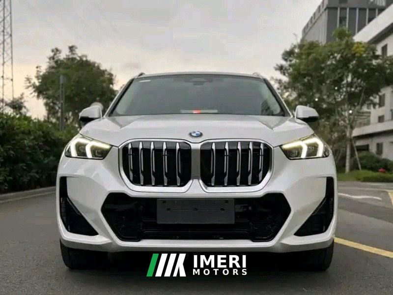 BMW X1 sDrive25Li M Sport Package - автомобиль из Китая