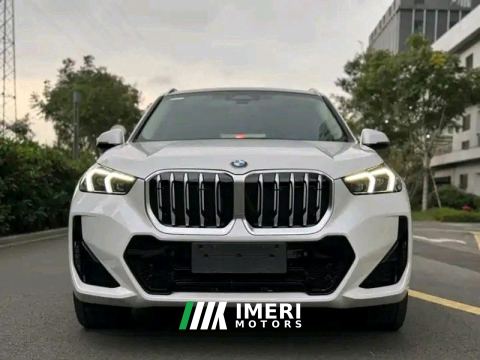 2024 BMW X1 sDrive25Li M Sport Package - car from China