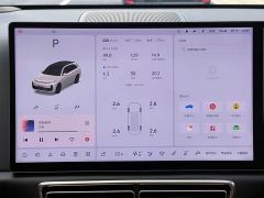 Li Auto L7 Max - ფოტო 14