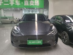 Tesla Model Y 554km Rear-Wheel Drive Edition - ფოტო 2