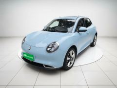 Ora Great Wall Good Cat 401km Prestigious Edition Lithium iron phosphate - photo 1