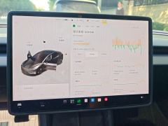 Tesla Model 3 634km Rear-Wheel Drive Edition - ფოტო 20