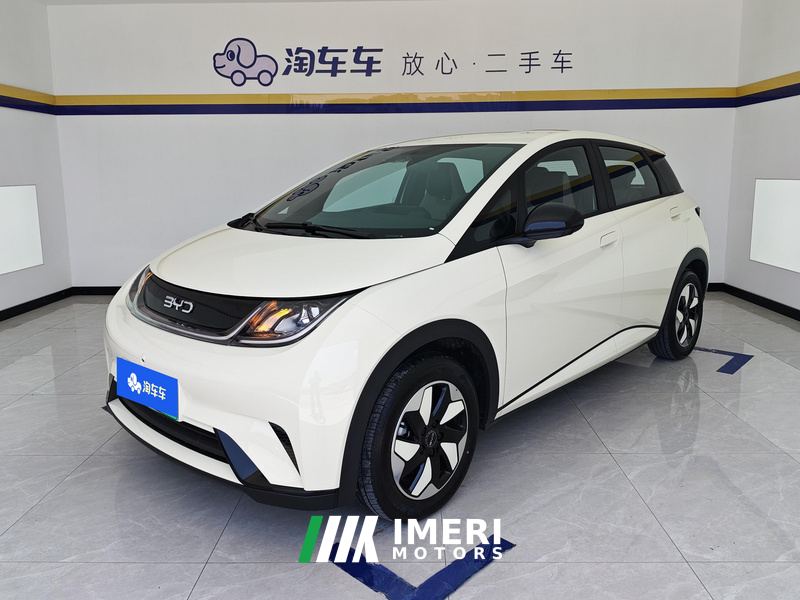 BYD Dolphin 420km Free Version - ავტომობილი ჩინეთიდან