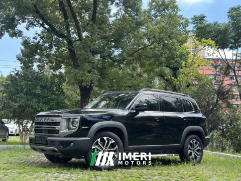 2024 Haval Great Wall Big Dog 1.5T 2WD Edition - автомобиль из Китая