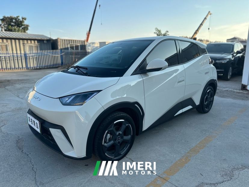 BYD Seagull 305km Free Version - ავტომობილი ჩინეთიდან