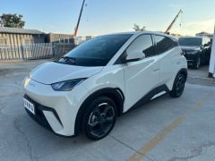 BYD Seagull 305km Free Version - ფოტო 1
