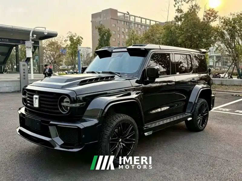 Tank 300 Off-Road Edition 2.0T Conqueror - ავტომობილი ჩინეთიდან