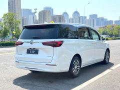 Buick GL8 652T Luxury Version 7 - фото 12