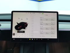 Tesla Model Y 554km Rear-Wheel Drive Edition - ფოტო 17