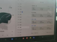 Tesla Model 3 634km Rear-Wheel Drive Edition - photo 20