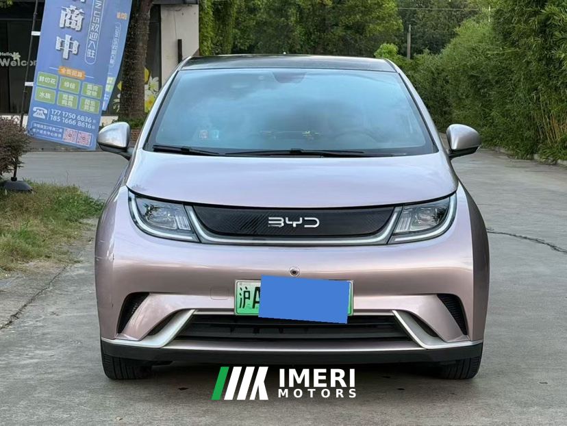 BYD Dolphin 420km Free Version - ავტომობილი ჩინეთიდან