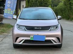 BYD Dolphin 420km Free Version - ფოტო 1