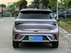 BYD Dolphin 420km Free Version - ფოტო 2