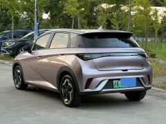 BYD Dolphin 420km Free Version - ფოტო 3