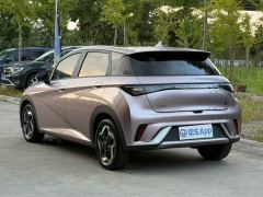 BYD Dolphin 420km Free Version - ფოტო 8