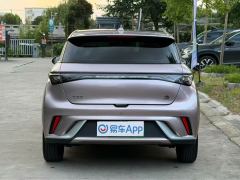 BYD Dolphin 420km Free Version - ფოტო 9