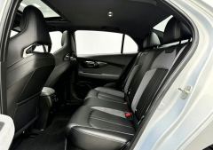 GAC Chuanqi Shadow Leopard 270T DCT R-Style Vigor Enjoyment Edition - photo 6