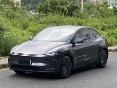 Tesla Model Y 593km Rear-Wheel Drive Edition - фото 1