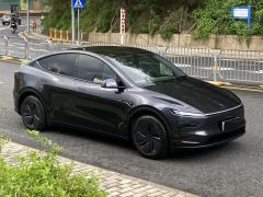 Tesla Model Y 593km Rear-Wheel Drive Edition - фото 3