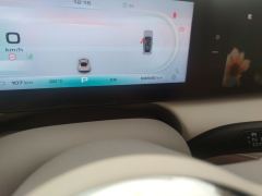 Ora Ballet Cat 401km Nutcracker Edition - photo 8
