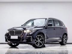 BMW X5 xDrive30Li Deluxe VersionM - ფოტო 1