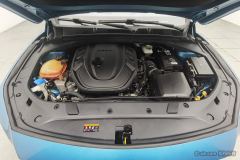 Geely Xingui 2.0TD Premium Version - ფოტო 7
