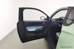 Chery Ant 251km Edition - ფოტო 11
