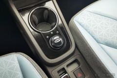 Chery Ant 251km Edition - ფოტო 17