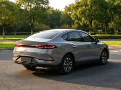 BYD Qin PLUS DM-i 1.5L 210km Progressive - ფოტო 4