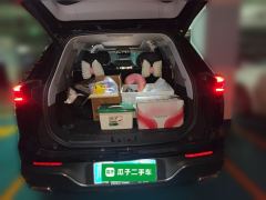 Chery Tiggo 8 PLUS 290TGDI Luxury Version - ფოტო 15