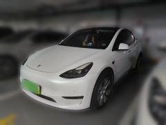 Tesla Model Y 545km Rear-Wheel Drive Edition - ფოტო 1