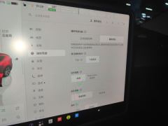 Tesla Model Y 545km Rear-Wheel Drive Edition - ფოტო 20