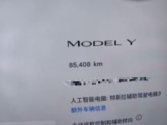 Tesla Model Y 545km Rear-Wheel Drive Edition - ფოტო 8