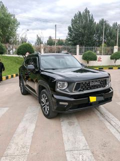Haval Dargo PLUS 2.0T 2WD EditionPlus - photo 3