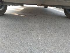 Dongfeng L8 1.5T 185km Edition - ფოტო 9