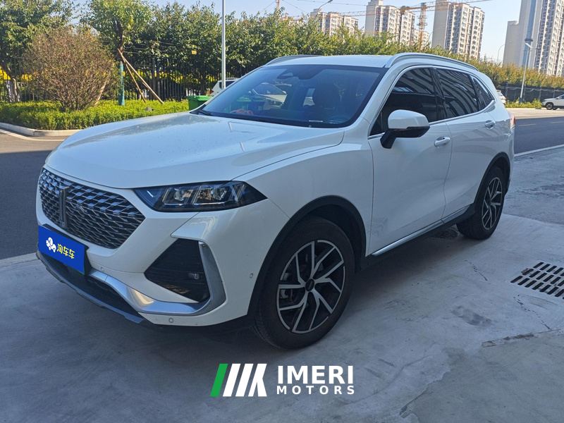 Great Wall PHEV 1.5T 155km AWD - ავტომობილი ჩინეთიდან