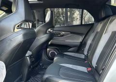 GAC Chuanqi Shadow Leopard 270T DCT R-Style Vigor Enjoyment Edition - photo 6