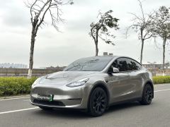 Tesla Model Y Standard endurance rear-wheel drive - photo 1