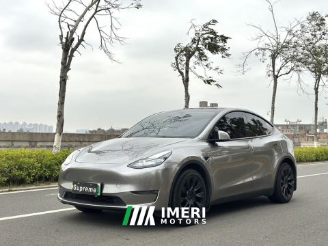 2021 Tesla Model Y Standard endurance rear-wheel drive - ავტომობილი ჩინეთიდან
