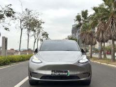 Tesla Model Y Standard endurance rear-wheel drive - photo 2
