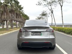 Tesla Model Y Standard endurance rear-wheel drive - photo 8