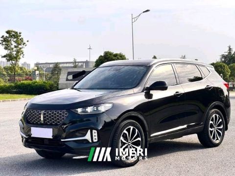2021 Great Wall VV6 2.0T 2WD - ავტომობილი ჩინეთიდან