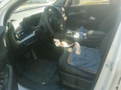 Kia Lion Platinum Tuojie 2.0T 2WDPremium Edition - фото 14