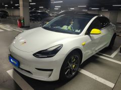 Tesla Model 3 556km Rear-Wheel Drive Edition - фото 1