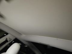 Tesla Model 3 556km Rear-Wheel Drive Edition - фото 15