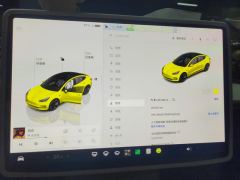 Tesla Model 3 556km Rear-Wheel Drive Edition - фото 20